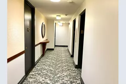 100 E Walton Place #14A, Chicago, IL 60611 - Photo 13