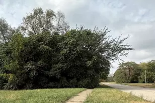 705 Newport Ave, Rockford, IL 61102 - Photo 1