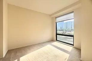 1 E 8th St, Chicago, IL 60605 - Photo 13