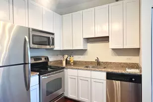 1 E 8th St, Chicago, IL 60605 - Photo 19