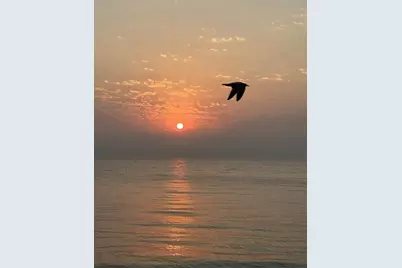 [Address not provided], Chicago, IL 60660 - Photo 21