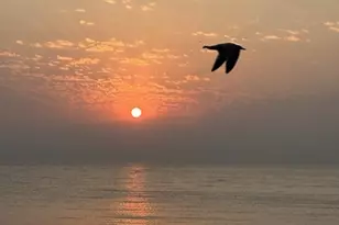 [Address not provided], Chicago, IL 60660 - Photo 21