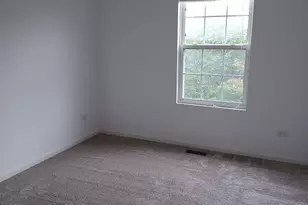 24333 Leski Ln, Plainfield, IL 60585 - Photo 15