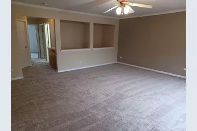 24333 Leski Lane, Plainfield, IL 60585 - Photo 9