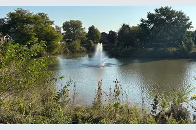 14947 Landings Lane, Oak Forest, IL 60452 - Photo 33