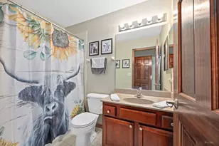 555 Litchfield Way, Oswego, IL 60543 - Photo 35