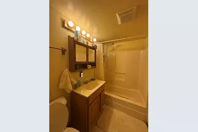 843 W Windsor Avenue, Crete, IL 60417 - Photo 7