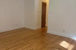 7635 S Yates Blvd, Chicago, IL 60649 - Photo 9