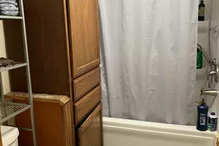 173 Austin Ct, Manteno, IL 60950 - Photo 17