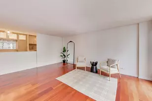 230 E Ontario St, Chicago, IL 60611 - Photo 15