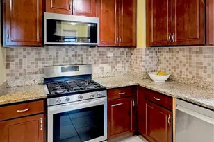 851 N Menard Ave, Chicago, IL 60651 - Photo 13