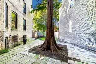 907-909 W Webster Ave, Chicago, IL 60614 - Photo 7