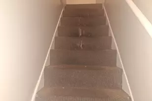 9351 S Manistee Ave, Chicago, IL 60617 - Photo 11