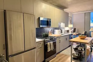 1114 W Carroll Ave, Chicago, IL 60607 - Photo 9