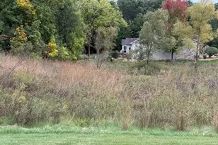 17213 Mendota Dr, Lockport, IL 60441 - Photo 29