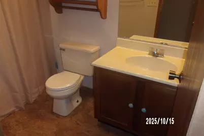 707 E Ash Street, Watseka, IL 60970 - Photo 13