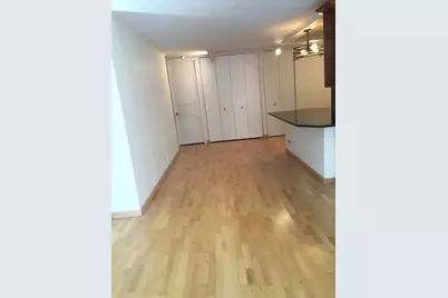 200 E Delaware Place #5D, Chicago, IL 60611 - Photo 11