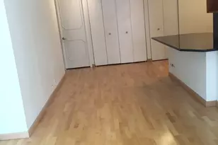 200 E Delaware Pl, Chicago, IL 60611 - Photo 11