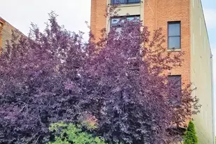 2226 W Monroe St, Chicago, IL 60612 - Photo 1