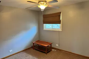 11S067 West St, Naperville, IL 60565 - Photo 9