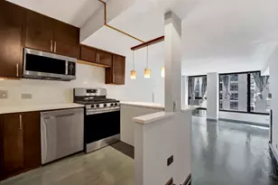 230 E Ontario St, Chicago, IL 60611 - Photo 13