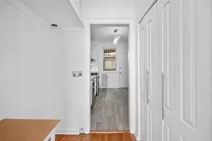 1424 E Hyde Park Blvd, Chicago, IL 60615 - Photo 15