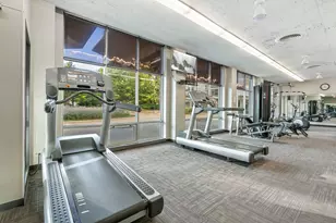 1460 N Sandburg Terrace, Chicago, IL 60610 - Photo 29