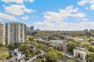 1460 N Sandburg Terrace, Chicago, IL 60610 - Photo 15