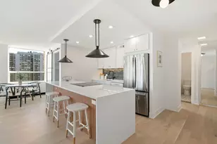 1460 N Sandburg Terrace, Chicago, IL 60610 - Photo 9