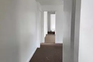 101 Comstock St, Joliet, IL 60436 - Photo 5