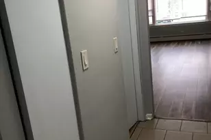 5544 N Campbell Ave, Chicago, IL 60625 - Photo 13