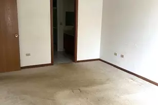 4222 W 77th St, Chicago, IL 60652 - Photo 17