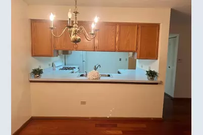 4222 W 77th Street #202, Chicago, IL 60652 - Photo 9