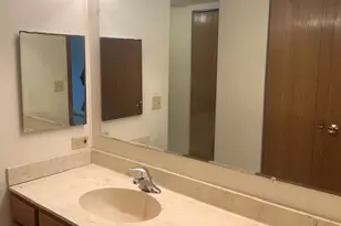 4222 W 77th St, Chicago, IL 60652 - Photo 19