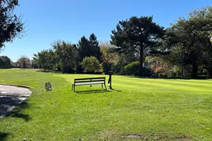 315 Bluff Ct, Lake Barrington, IL 60010 - Photo 31