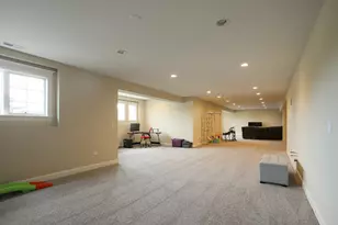 22331 Majestic Ln, Frankfort, IL 60423 - Photo 21