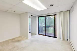 13 Saint Thomas Colony, Fox Lake, IL 60020 - Photo 9