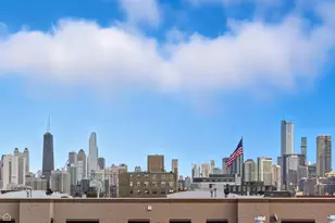 525 N Ada St, Chicago, IL 60642 - Photo 19