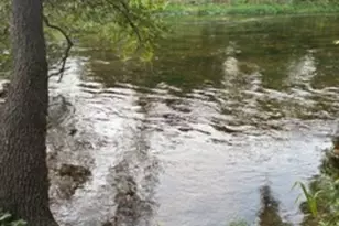 22416 S Kings Ct, Shorewood, IL 60404 - Photo 35