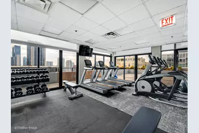 375 W Erie Street #313, Chicago, IL 60654 - Photo 19