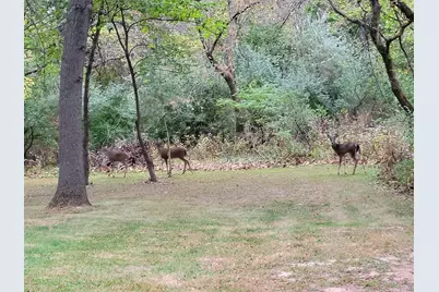 13 Birch Drive, Putnam, IL 61560 - Photo 41