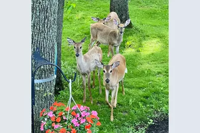 13 Birch Drive, Putnam, IL 61560 - Photo 37