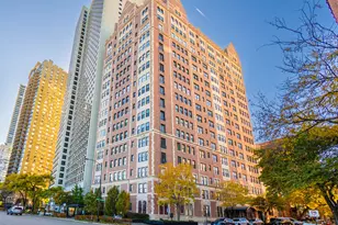 1120 N Lake Shore Dr, Chicago, IL 60611 - Photo 27