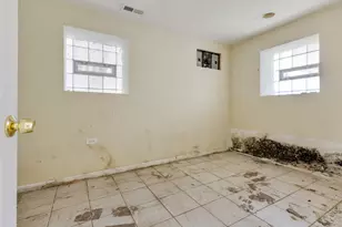 1141 S St Louis Ave, Chicago, IL 60624 - Photo 21