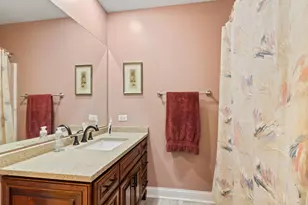 24412 W Park River Ln, Shorewood, IL 60404 - Photo 19