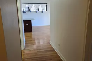 41 E 8th St, Chicago, IL 60605 - Photo 7