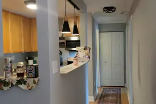 105 S Arlington Ave, Elmhurst, IL 60126 - Photo 5