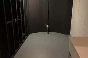 863 Mackinaw Ave, Calumet City, IL 60409 - Photo 13