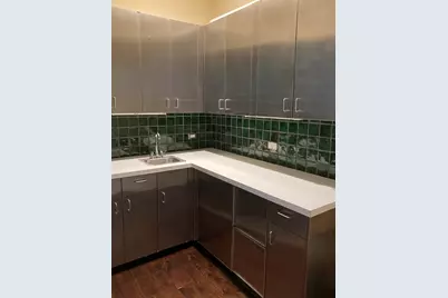 29 E Scott Street, Chicago, IL 60610 - Photo 11