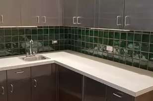 29 E Scott St, Chicago, IL 60610 - Photo 11